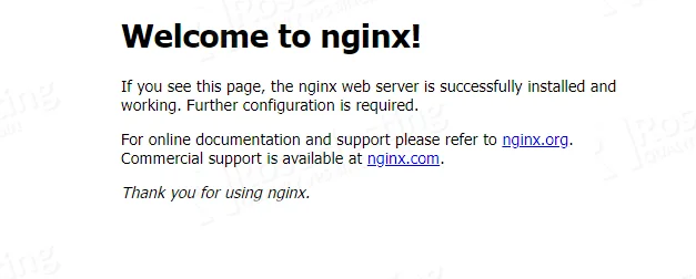 Nginx インストール成功時のデフォルト ページ