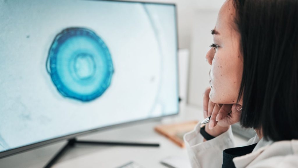 コアウェブバイタル入門：SEOとユーザー体験を改善するための基礎知識